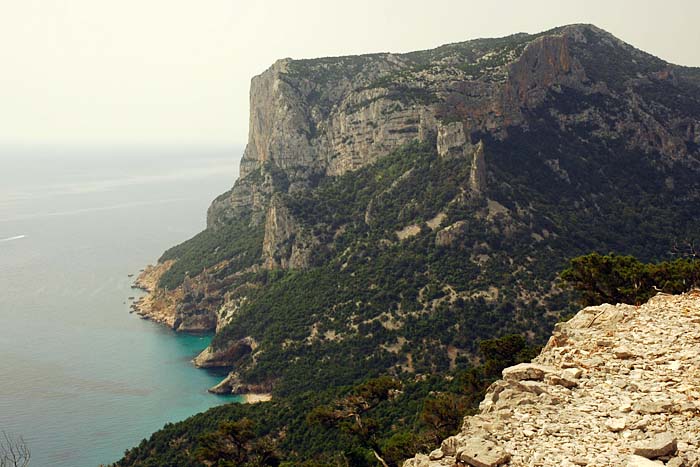 Panorama su Cala Sisine