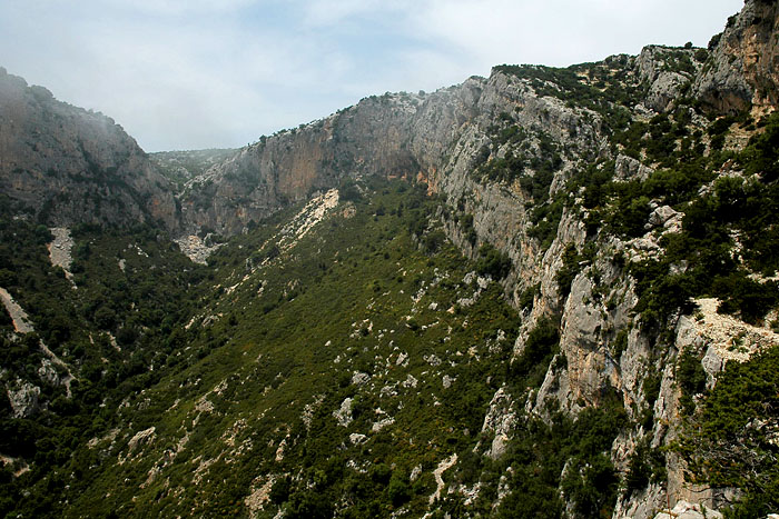 Panorama_2