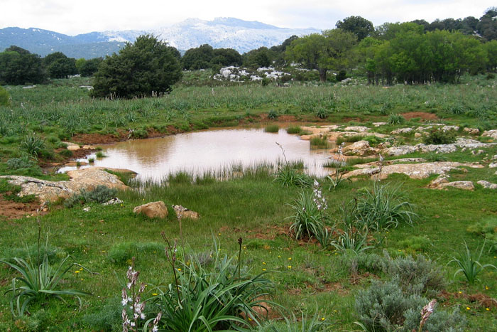 Campo Donnanigoro 2