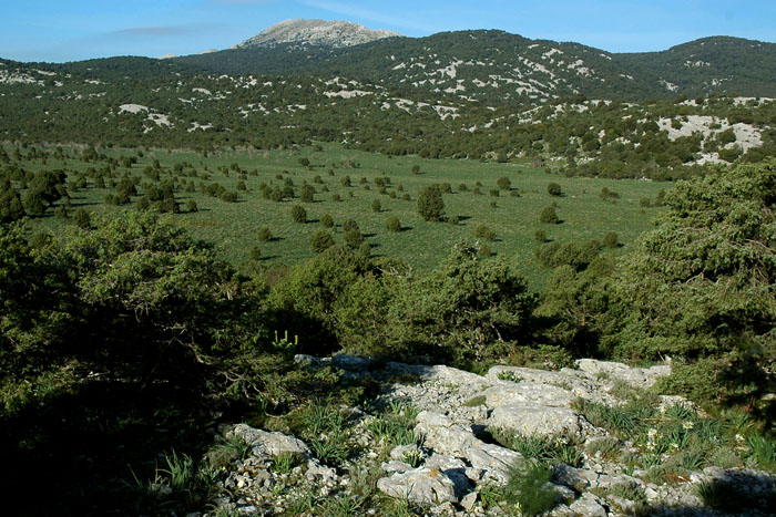 Campo Donanigoro 2
