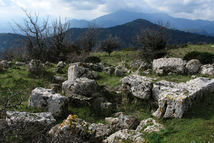 Resti del tempio Punico