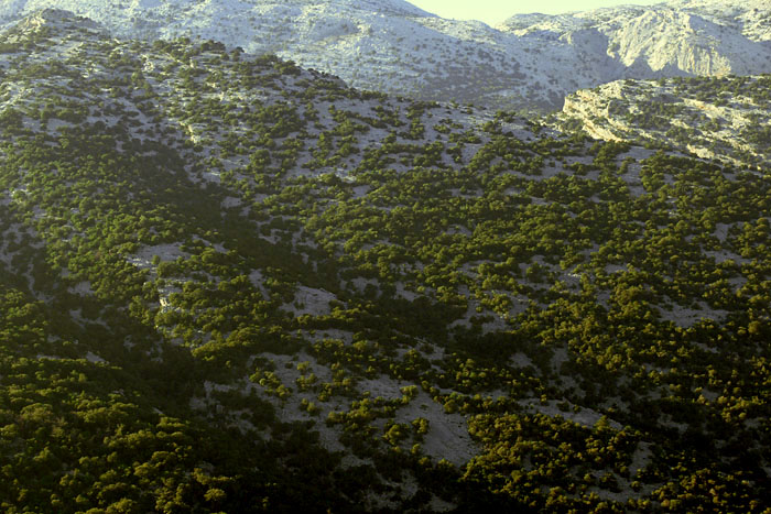 Vista dal monte Tiscali